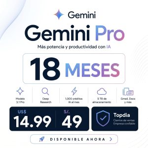 Gemini pro 18 meses