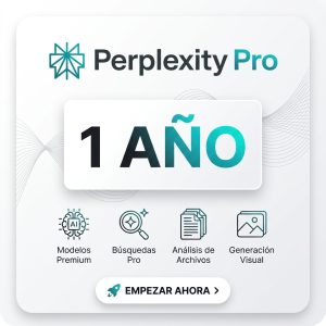 perplexity pro 1 año